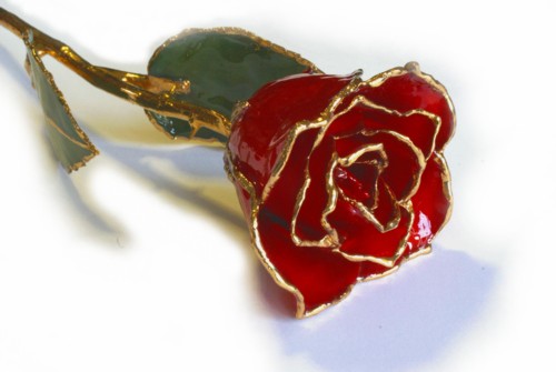 24K Gold Trimmed Red Rose
